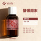 香精1新 梅森·马吉拉 慵懒周末-大货（香水 香薰）